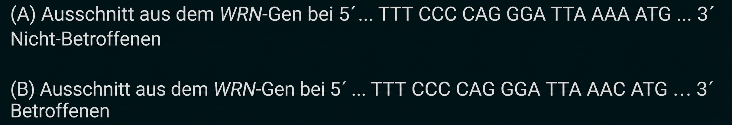 Zwei Ausschnitte aus dem WRN-Gen: (A) Nicht-Betroffene mit ...AAA..., (B) Betroffene mit ...AAC...